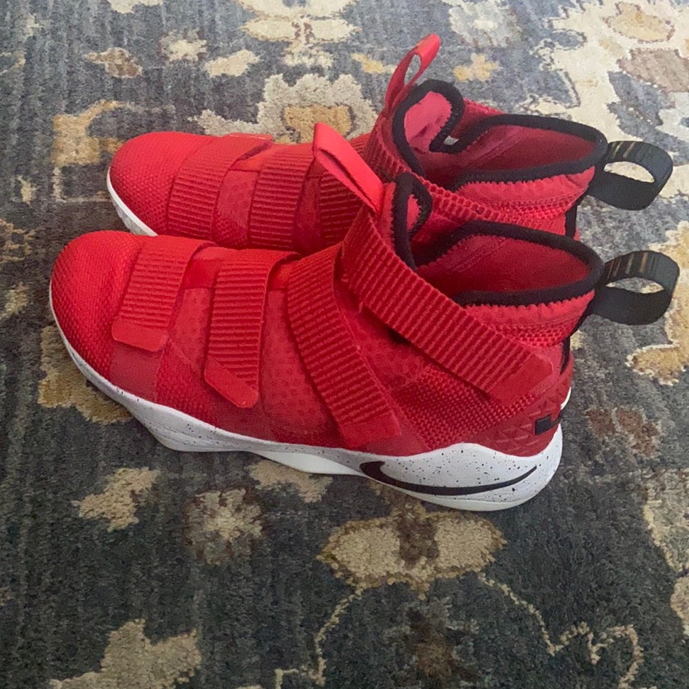 Nike LeBron Basketball shoe